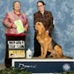 Meet your Posher, Rohana